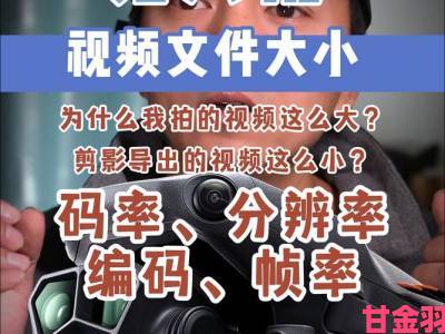 视频软件使用时长创新高专家解读背后原因与潜在影响