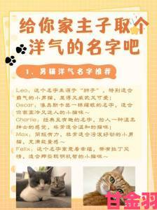 猫咪MV最新地域网名怎么取网友争论不休南北差异成焦点话题