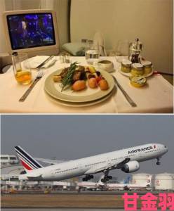 法国航空2016餐食卫生问题遭举报监管部门介入调查始末