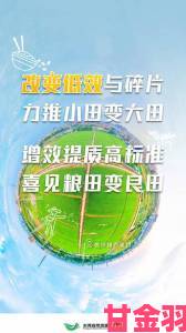 社区|大地资源中文在线观看免费版是否存在地域限制问题如何解决