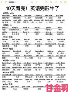 新手|zoom什么意思从普通动词到科技热词的蜕变之路