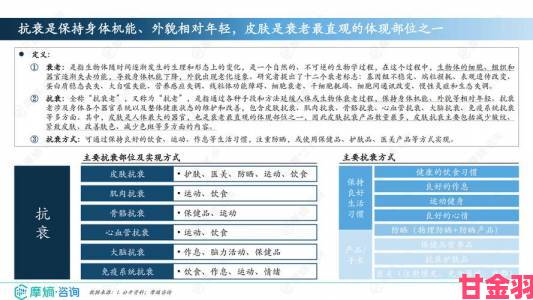 日本三线和韩国三线品牌对比深度解析市场格局与消费者偏好