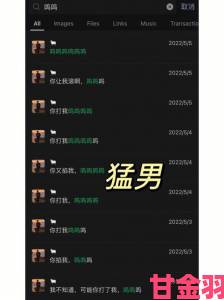 国产Chinese男男gaygay网站软件中有哪些隐藏功能值得深度探索？