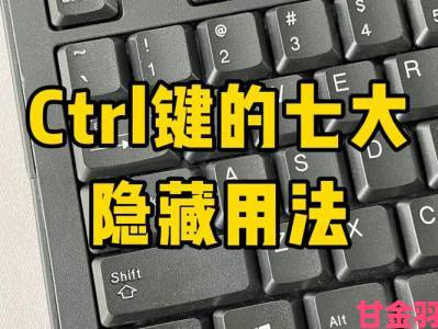 新知|yandex隐藏功能大揭秘提升搜索效率的实用技巧全解析