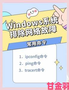 日本Windows服务器搭建高清应用环境避雷指南完整版