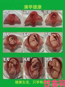 从传统到科学给儿媳妇肚子里种个宝宝的现代家庭备孕实践