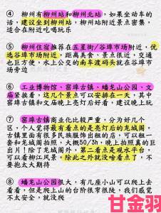 儿媳采薇和养父小说免费阅读全文避坑指南：关键章节必看要点