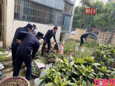 爆料|男子肯亲花园说明什么市民联名举报揭露绿地侵占黑幕