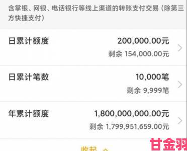 攻略|支付宝转账限额是多少商家账户是否享有特殊权限