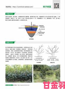 即时|小嫩苞太紧了进不去成农业难题多省启动新型育苗技术试点