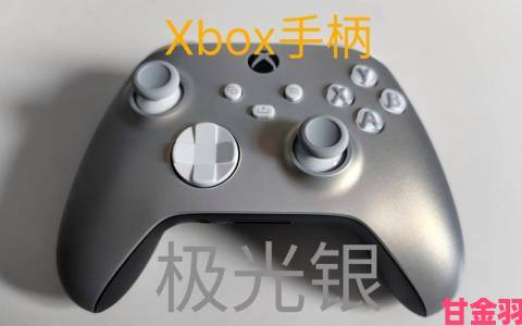 Xbox设计实验室回归，玩家能够设计XSX手柄