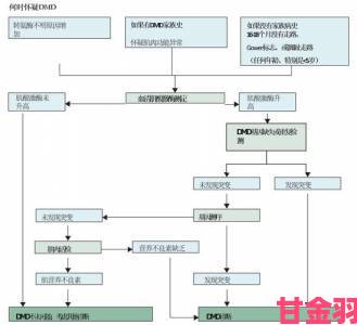 xl司未增减类型全流程攻略从零到精通的系统化学习路径