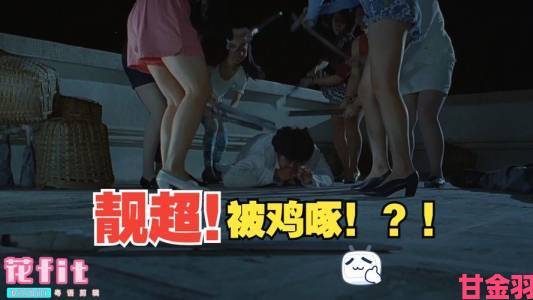 透视|为何美女搞鸡会掀起城乡创业新浪潮的讨论？