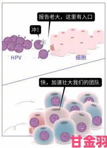 一夫一妻HPV传播的深层逻辑：夫妻预防必须把握的关键点