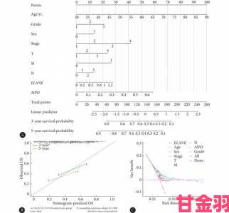 前沿|17.C.NOM终极教程手把手教你解决复杂场景应用难题