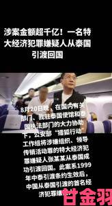 Chinese老太交granny背后利益链曝光群众举报牵出犯罪团伙