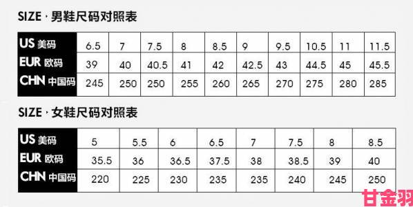 亚洲一码和欧洲二码尺码区别全解析教你精准挑选跨境服饰尺寸