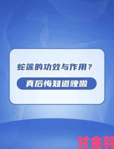 秘籍|蛇倒刺蛇j子宫出处历史背景全解析必读指南