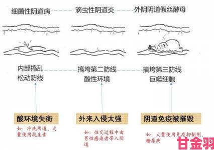 正常阴脣什么样子图片健康科普女性必读的生理知识指南