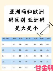 欧美区一码二码三码区别背后有哪些不为人知的行业规则