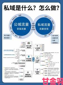 扒开亚洲20P流量密码原来这五大特质才是成功关键