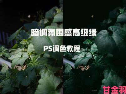 即时|免费ps大片调色在线看涉及版权问题用户举报渠道及注意事项详解