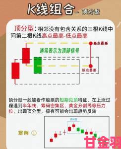 战报|xrk新手必看攻略从零开始快速掌握核心操作与实战技巧