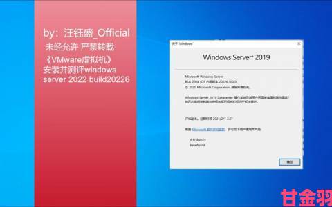 日本windowsserver在大数据处理方面有哪些独到之处