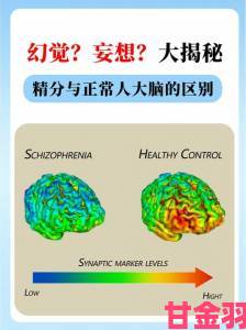 日日爽的科学依据是什么？神经学专家揭秘大脑愉悦的持续机制