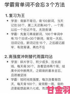 坐在学霸的鸡上背单词笔趣阁背后真相揭开原来学霸都在偷偷用