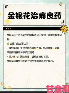 焦点|双管齐下TXL金银花到底适合哪些人群使用前必须知道什么