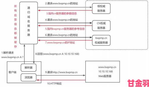 如何通过by12777·coon域名查询避免常见注册陷阱