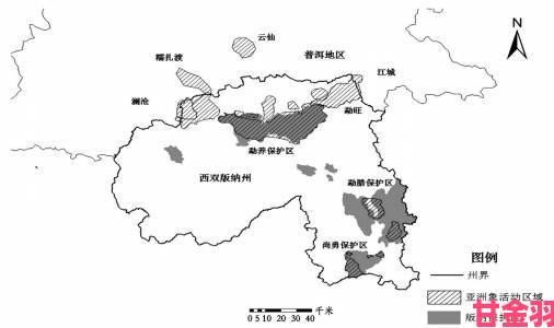 2023年大象迁徙纪录片曝光蘑菇定位系统助力象群永不迷路