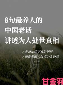 二十岁的中国版免费背后藏着哪些不敢说透的社会真相