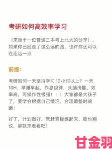 如何高效利用大地资源网更新免费播放视频这份攻略帮你省时又省力