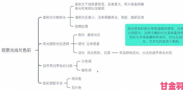 涩多多新手必看攻略从零开始手把手教你轻松掌握核心技巧