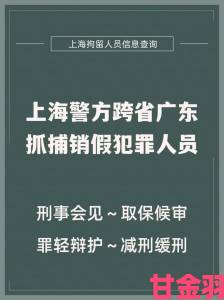 国产睡熟迷奷系列精品涉案人员跨省抓捕行动纪实