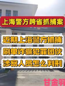 国产睡熟迷奷系列精品涉案人员跨省抓捕行动纪实