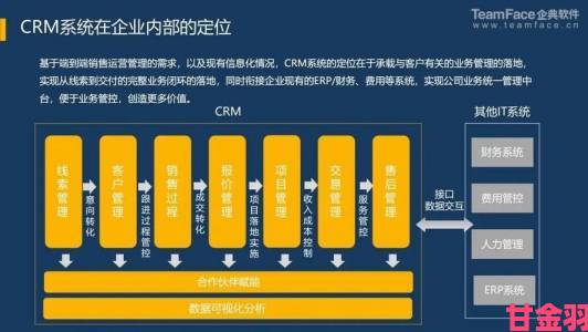 成人免费crm隐藏功能大揭秘：解锁高级客户管理技巧方法