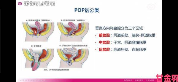 安徽妇搡bbbb搡bbbb完整流程拆解附赠实用场景应用案例解析