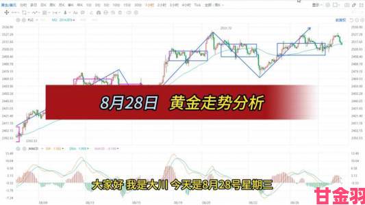 今日黄金价格走势图突发异动：投资者必看的市场风险预警