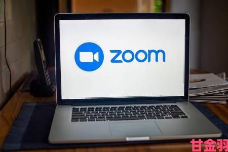 Zoom与人马性Zoom的深度对比揭示了隐私安全隐患与用户体验的真相