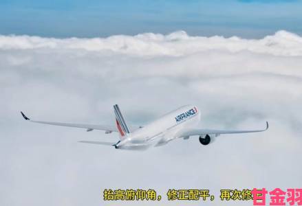 法国空乘2023就业前景分析年轻人为何热衷法国航空业