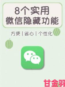 晚报|91pony九色隐藏功能大揭秘这些实用技巧你都知道吗