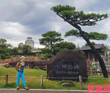 更新|日本一卡2卡3卡4卡无卡免费网站能否真正满足用户多样化需求