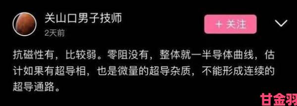 火焰视频下载背后团队独家专访揭秘研发关键突破