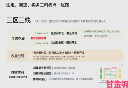 关键|成人网战陷法律灰色地带专家解读最新法规与平台责任边界