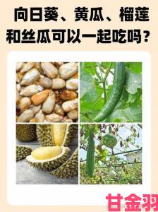 草莓丝瓜黄瓜丝瓜可以一起吃吗内部文件曝光这种组合存在安全隐患