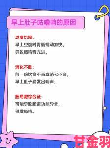 肚子总是咕噜咕噜的响是什么原因专家解析常见误区与真相