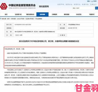 从举报材料看傻小子有个大东西如何突破监管漏洞运作八年